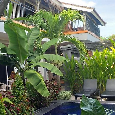 PD Bali Guesthouse Canggu Extérieur photo
