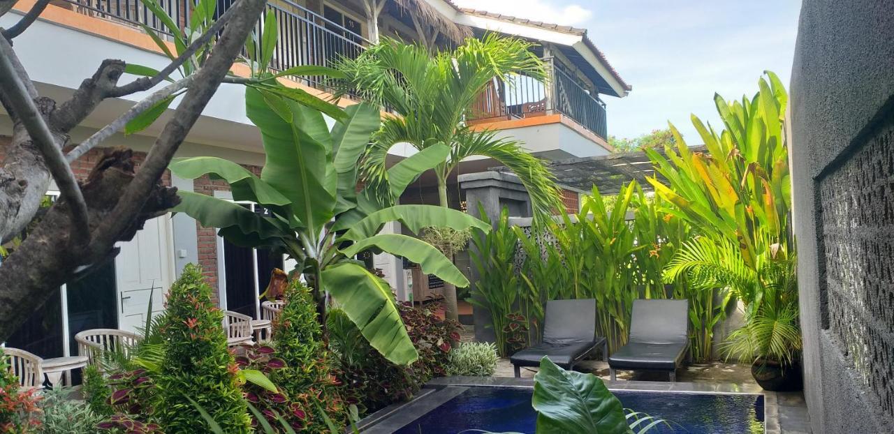 PD Bali Guesthouse Canggu Extérieur photo
